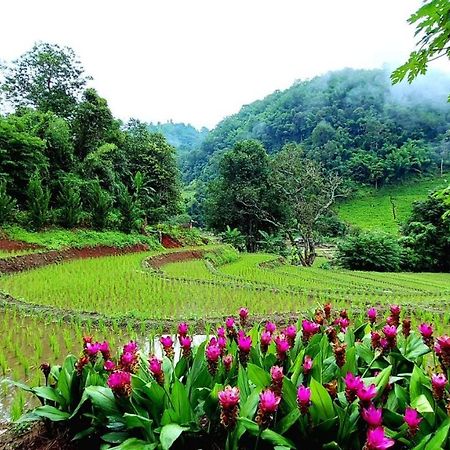 Kowitfarmstay Ban Mae Pan Noi Exterior foto