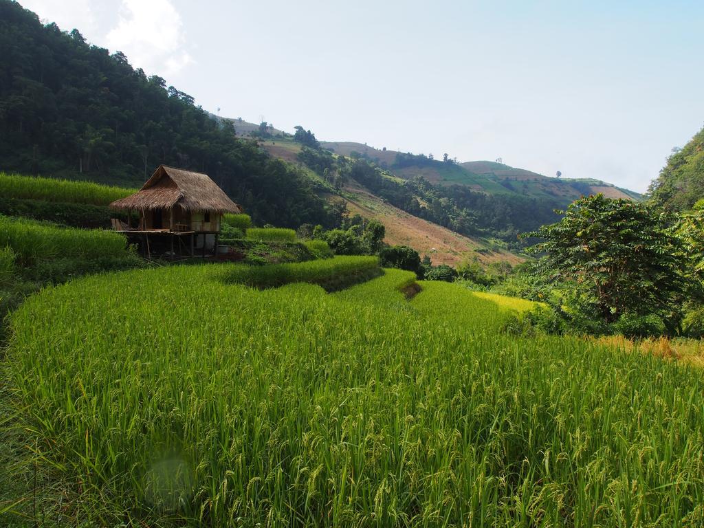 Kowitfarmstay Ban Mae Pan Noi Exterior foto