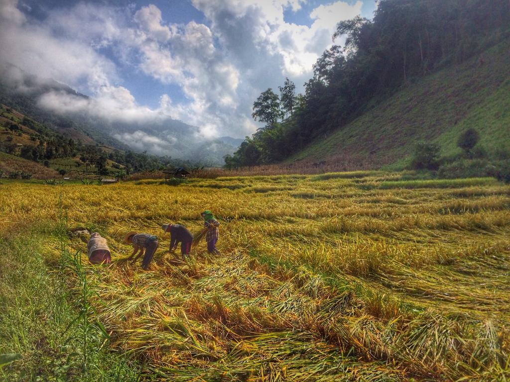 Kowitfarmstay Ban Mae Pan Noi Exterior foto