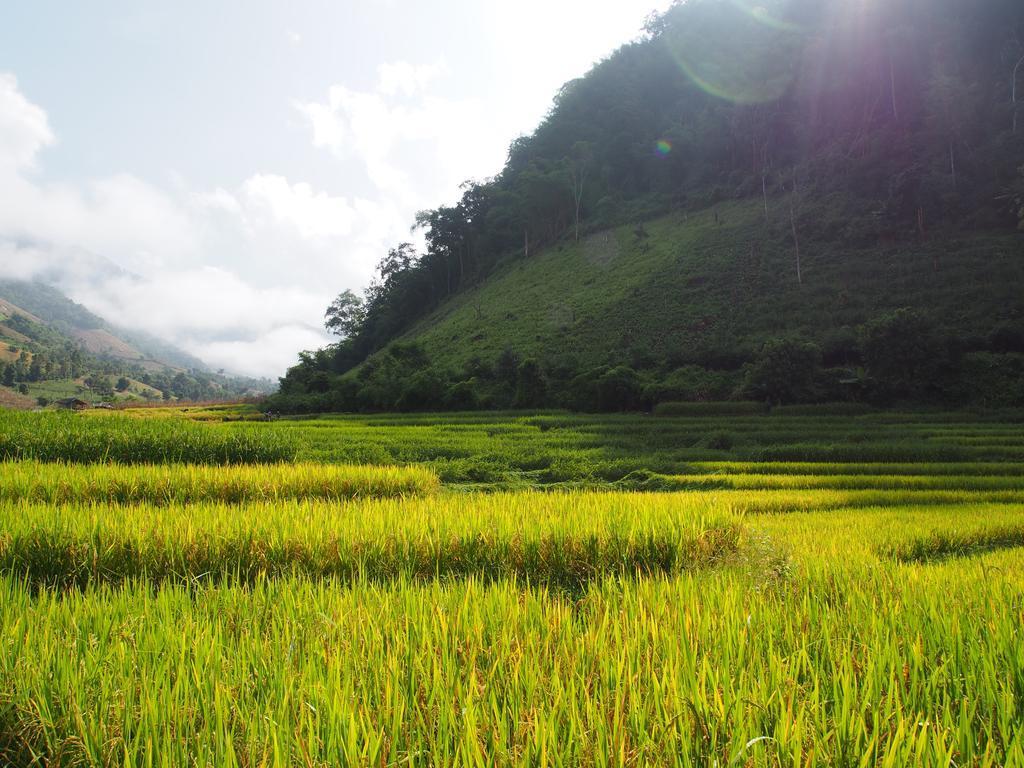 Kowitfarmstay Ban Mae Pan Noi Exterior foto