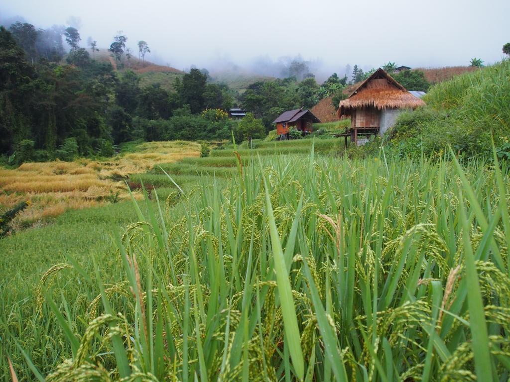 Kowitfarmstay Ban Mae Pan Noi Exterior foto