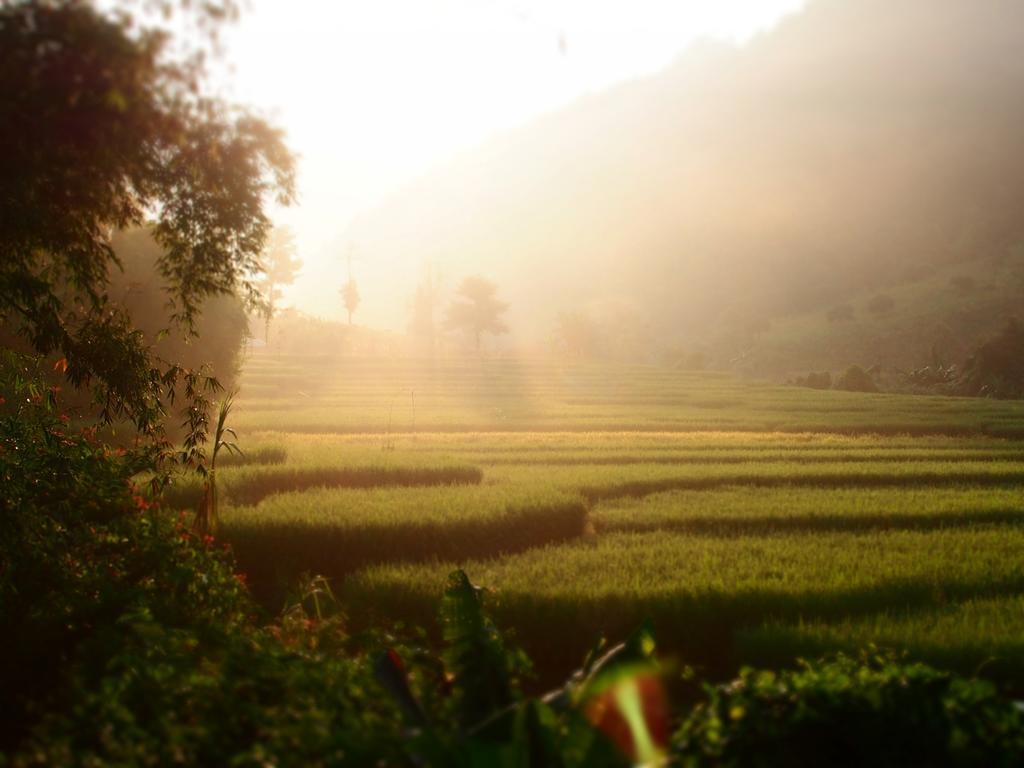 Kowitfarmstay Ban Mae Pan Noi Exterior foto