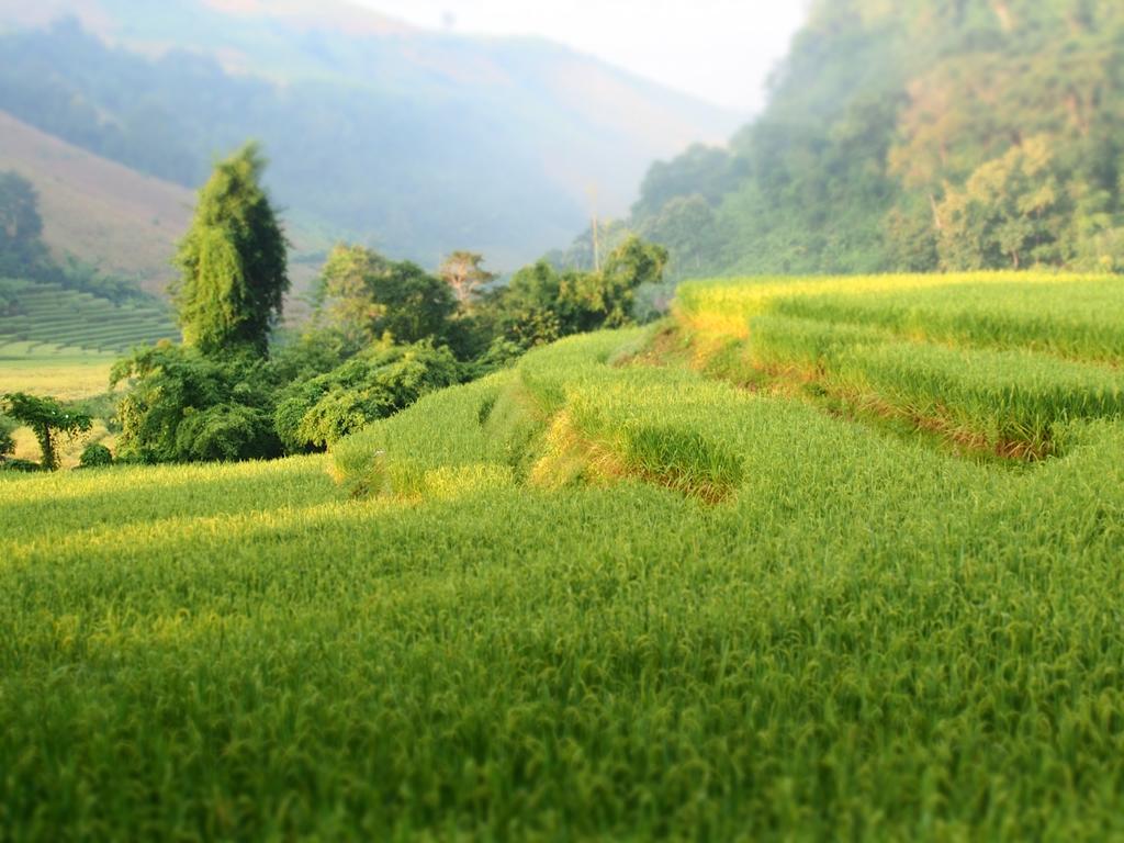 Kowitfarmstay Ban Mae Pan Noi Exterior foto