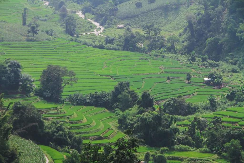 Kowitfarmstay Ban Mae Pan Noi Exterior foto