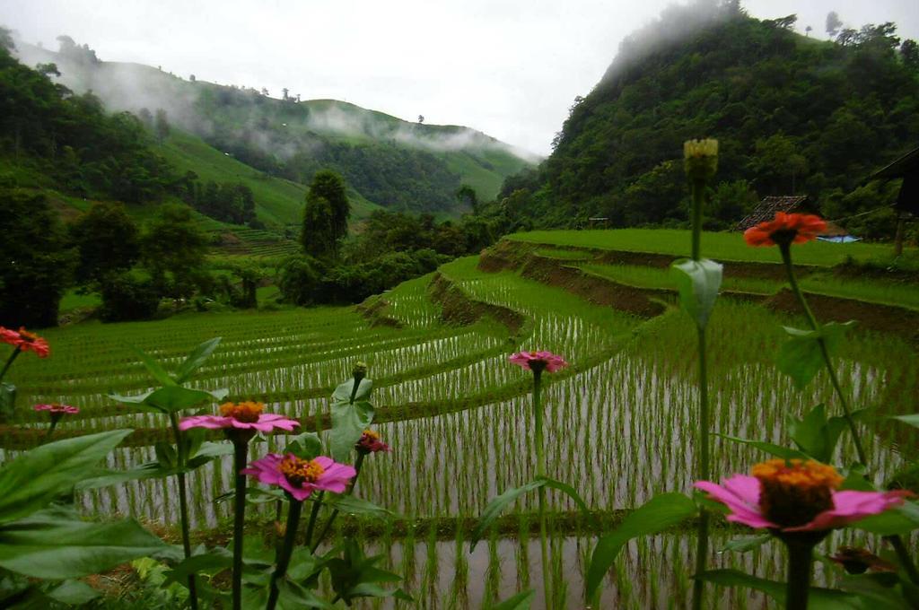 Kowitfarmstay Ban Mae Pan Noi Exterior foto